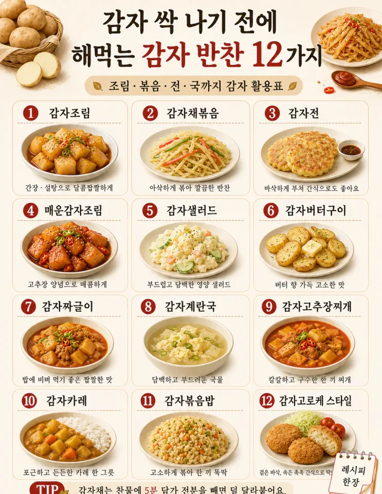 감자 한 봉지 순삭, 감자 반찬 12가지 (싹 나기 전에)