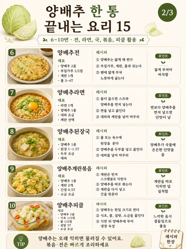 양배추 한 통 끝내는 집밥 메뉴 15가지 (저장용)