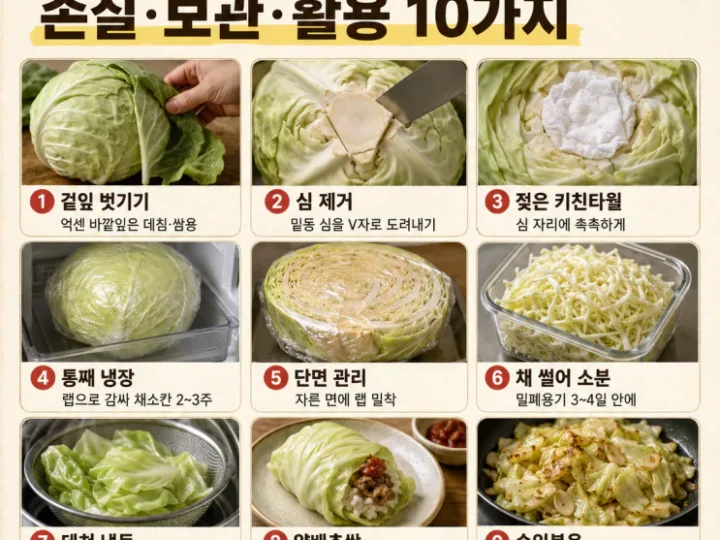양배추 한 통 남김없이, 손질·보관·활용 10가지