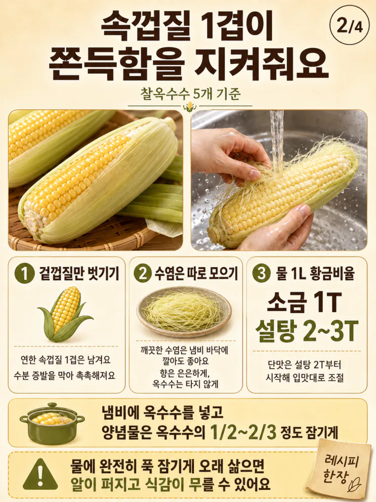 찰옥수수 삶는법 시간, 알 안 퍼지는 45분 공식 (+냉동보관)