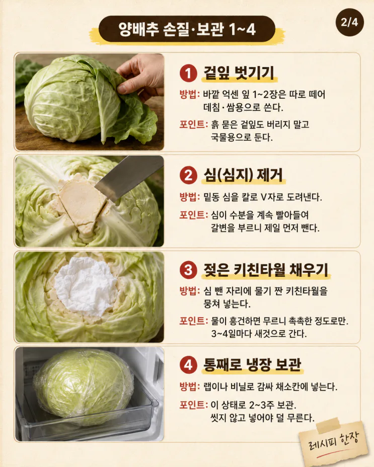 양배추 한 통 남김없이, 손질·보관·활용 10가지