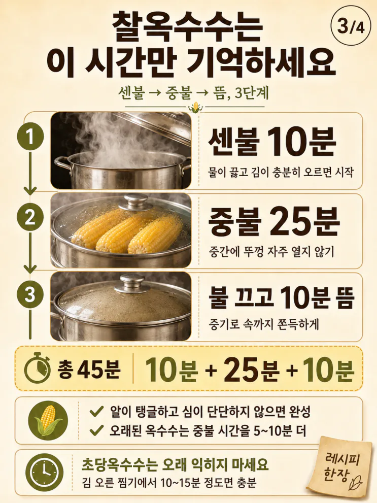 찰옥수수 삶는법 시간, 알 안 퍼지는 45분 공식 (+냉동보관)
