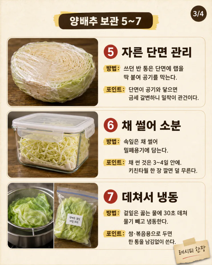 양배추 한 통 남김없이, 손질·보관·활용 10가지