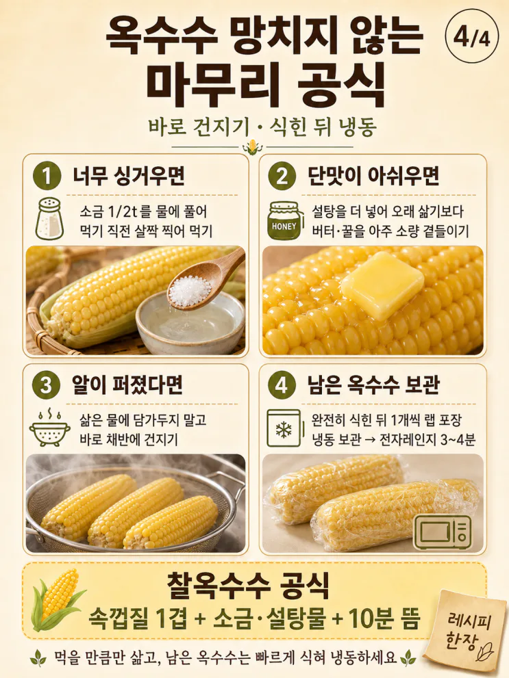 찰옥수수 삶는법 시간, 알 안 퍼지는 45분 공식 (+냉동보관)