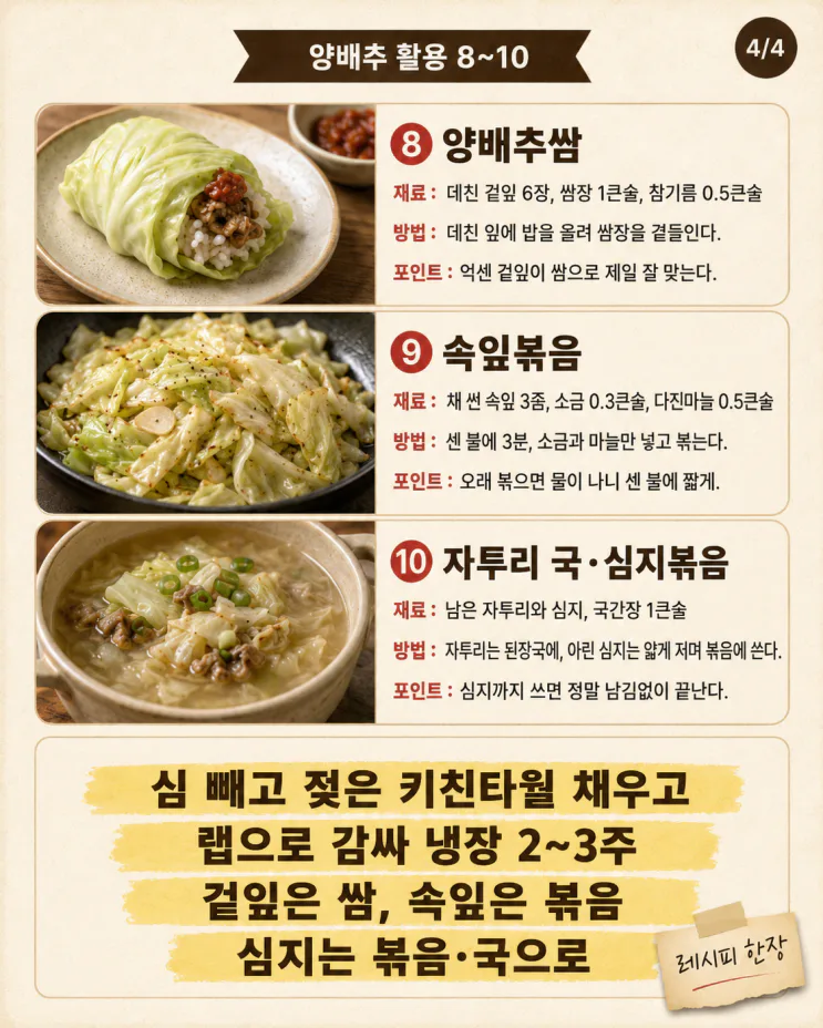 양배추 한 통 남김없이, 손질·보관·활용 10가지