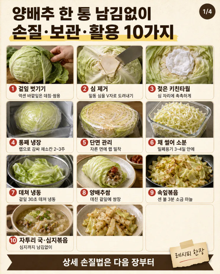 양배추 한 통 남김없이, 손질·보관·활용 10가지