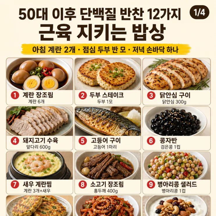 50대 이후 단백질 반찬 12가지, 근육 지키는 밥상