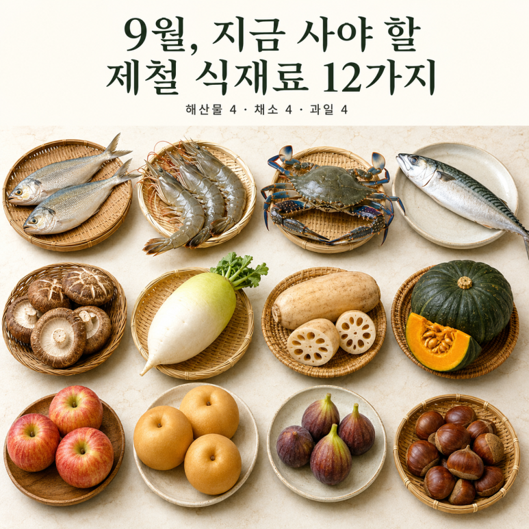 9월에 싸고 맛있어지는 것들 — 제철 재료 12가지, 고르는 법까지