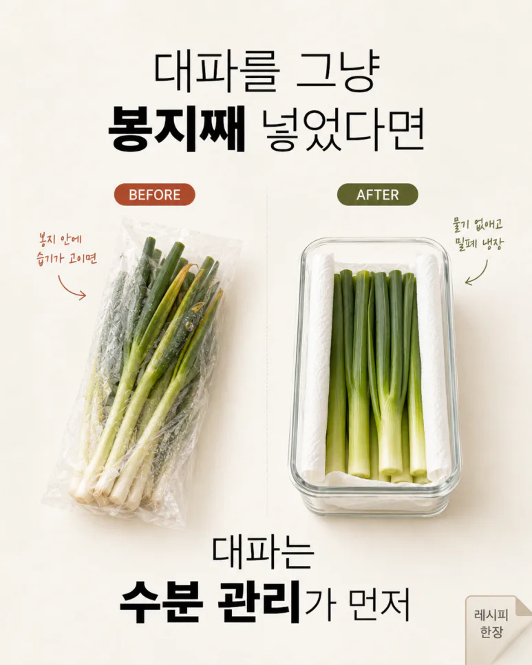채소가 금방 무른다면 — 냉장고에 넣기 전 바꿔야 할 채소 보관법 7가지