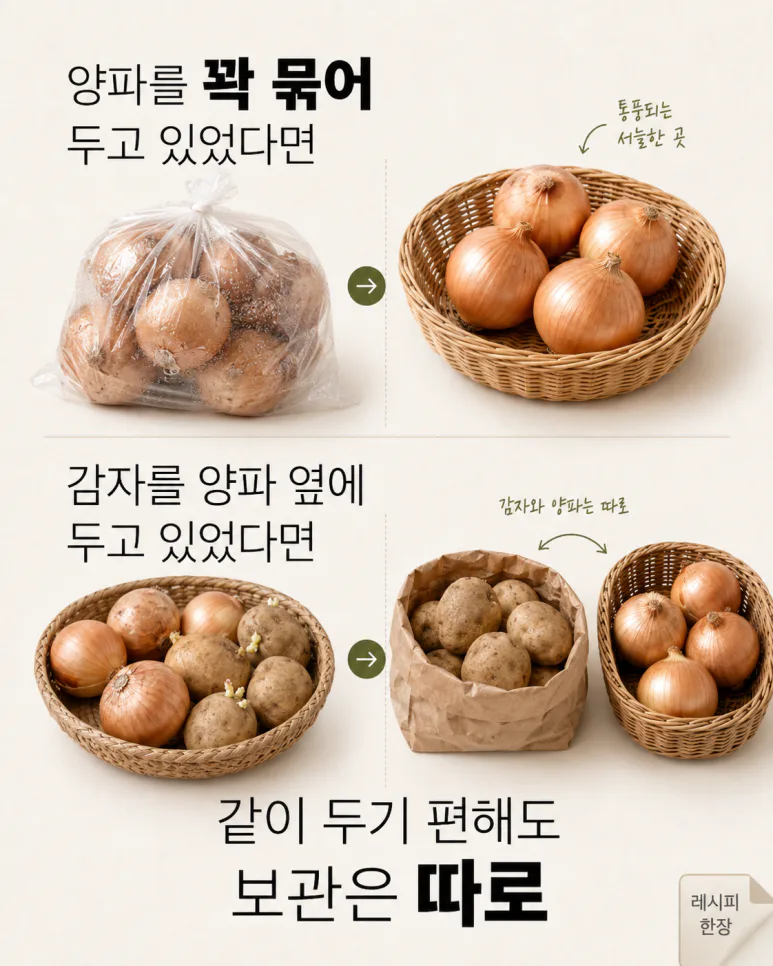 채소가 금방 무른다면 — 냉장고에 넣기 전 바꿔야 할 채소 보관법 7가지