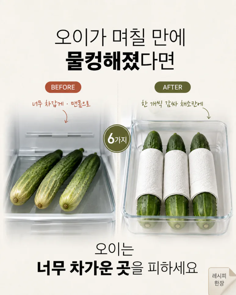 채소가 금방 무른다면 — 냉장고에 넣기 전 바꿔야 할 채소 보관법 7가지