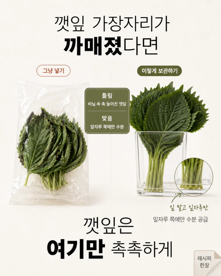 채소가 금방 무른다면 — 냉장고에 넣기 전 바꿔야 할 채소 보관법 7가지