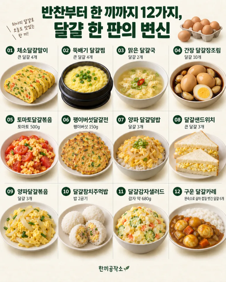 반찬부터 한 끼까지 12가지, 달걀 한 판의 변신