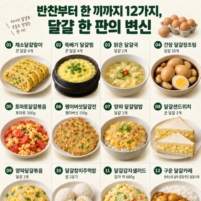 반찬부터 한 끼까지 12가지, 달걀 한 판의 변신